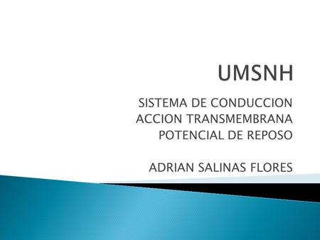 UMSNH SISTEMA DE CONDUCCION ACCION TRANSMEMBRANA POTENCIAL DE REPOSO