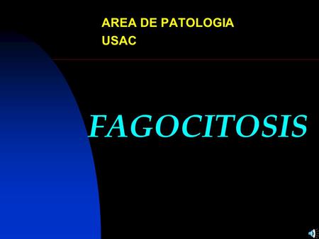 AREA DE PATOLOGIA USAC FAGOCITOSIS.