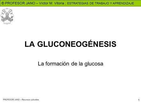 La formación de la glucosa