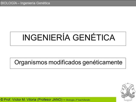 Organismos modificados genéticamente