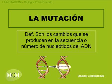 LA MUTACIÓN Def. Son los cambios que se producen en la secuencia o número de nucleótidos del ADN.
