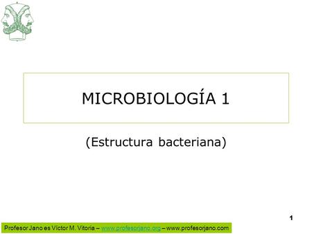 (Estructura bacteriana)