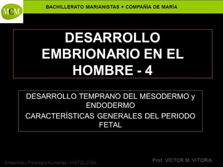 DESARROLLO EMBRIONARIO EN EL HOMBRE - 4