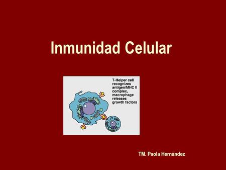 Inmunidad Celular TM. Paola Hernández.