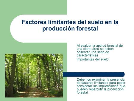 Factores limitantes del suelo en la producción forestal