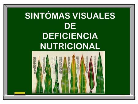 SINTÓMAS VISUALES DE DEFICIENCIA NUTRICIONAL