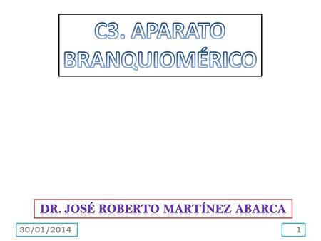 Dr. José Roberto Martínez abarca