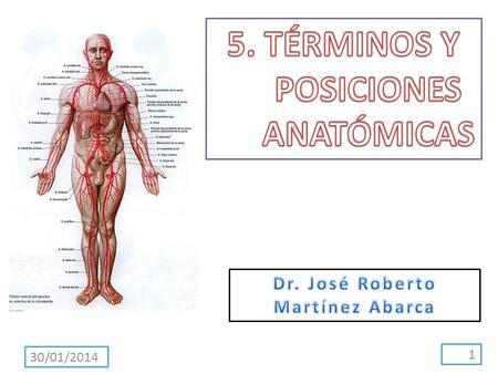 5. TÉRMINOS Y POSICIONES ANATÓMICAS Dr. José Roberto Martínez Abarca