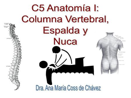 Dra. Ana María Coss de Chávez