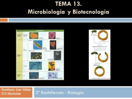 TEMA 13. Microbiología y Biotecnología