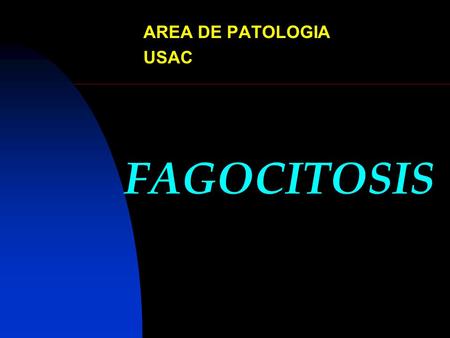 FAGOCITOSIS AREA DE PATOLOGIA USAC. FAGOCITOSIS REQUIERE DEL LEUCOCITO: 1. Quimiotaxis (Motilidad) 2. Capacidad de Fagocitar 3. Mecanismos de lisis intracelular.
