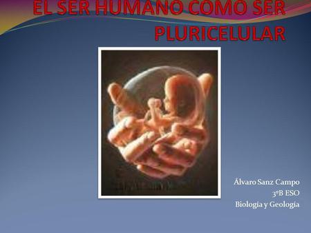 EL SER HUMANO COMO SER PLURICELULAR