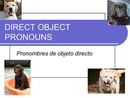 DIRECT OBJECT PRONOUNS Pronombres de objeto directo.