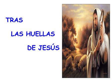 TRAS LAS HUELLAS DE JESÚS