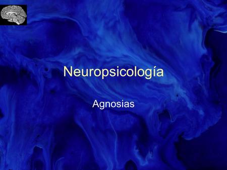 Neuropsicología Agnosias.