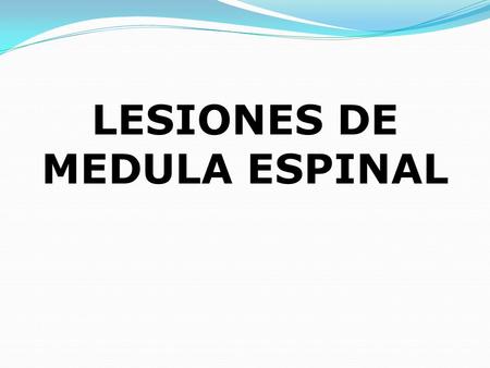 LESIONES DE MEDULA ESPINAL