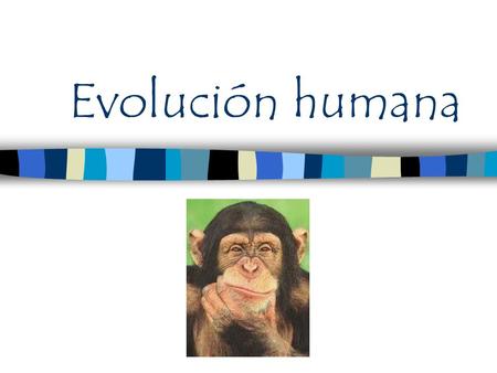 Evolución humana.