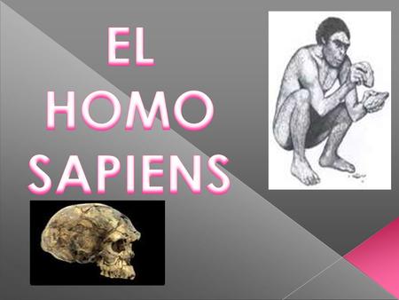 1.- Origen del Homosapiens. 2. Aspectos Morfológicos
