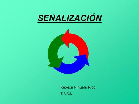 SEÑALIZACIÓN Rebeca Piñuela Rico T.P.R.L.
