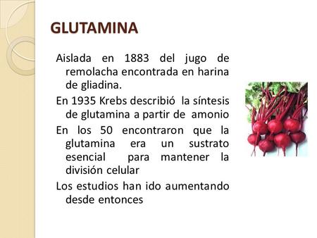 GLUTAMINA Aislada en 1883 del jugo de remolacha encontrada en harina de gliadina. En 1935 Krebs describió la síntesis de glutamina a partir de amonio En.