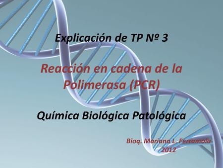 Reacción en cadena de la Polimerasa (PCR)