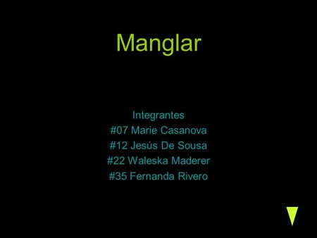 Manglar Integrantes #07 Marie Casanova #12 Jesús De Sousa