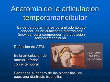 Anatomia de la articulacion temporomandibular