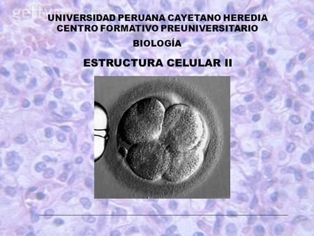 ESTRUCTURA CELULAR II UNIVERSIDAD PERUANA CAYETANO HEREDIA