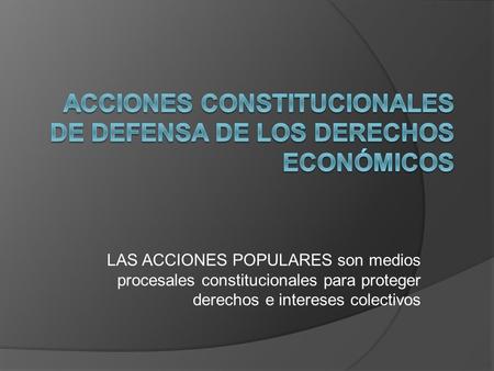 Acciones constitucionales de defensa de los derechos económicos