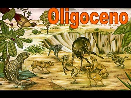 Oligoceno.