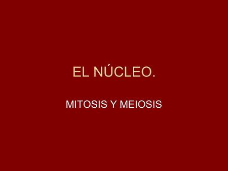 EL NÚCLEO. MITOSIS Y MEIOSIS.