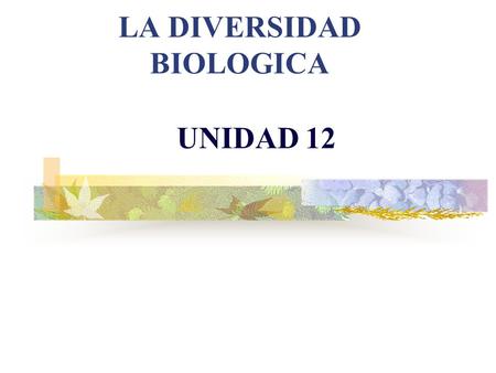 LA DIVERSIDAD BIOLOGICA UNIDAD 12 CONCEPTO Y NIVELES DE BIODIVERSIDAD DIVERSIDAD BIOLÓGICA O BIODIVERSIDAD es la variabilidad de organismos vivos de.