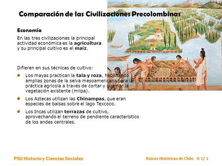Comparación de las Civilizaciones Precolombinas