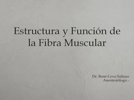 Estructura y Función de la Fibra Muscular