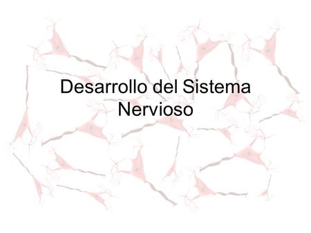 Desarrollo del Sistema Nervioso