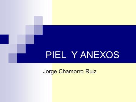 PIEL Y ANEXOS Jorge Chamorro Ruiz.