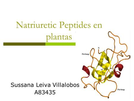 Natriuretic Peptides en plantas