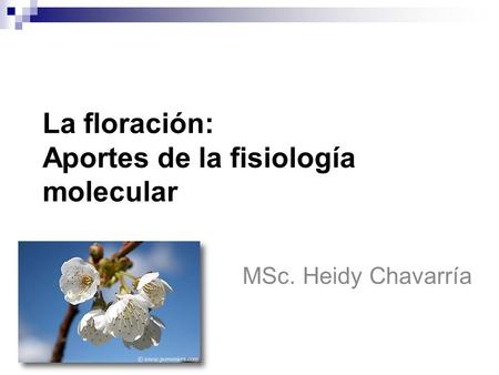 La floración: Aportes de la fisiología molecular