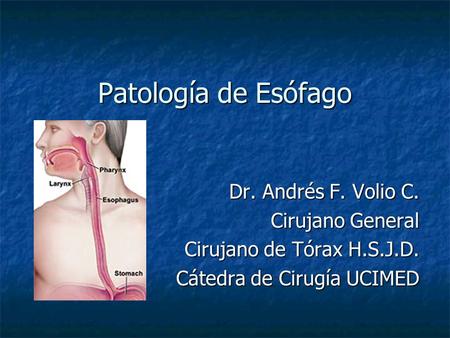 Patología de Esófago Dr. Andrés F. Volio C. Cirujano General