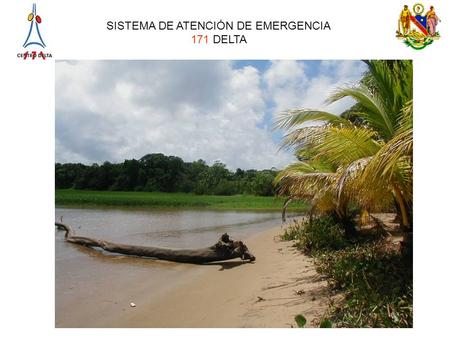 Estado Delta Amacuro: Decretado Estado en 1991 (previamente Territorio Federal) Población aproximadamente 100 mil habitantes Extensión Km2 70 %