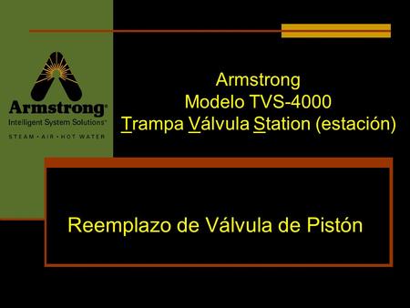Armstrong Modelo TVS-4000 Trampa Válvula Station (estación)