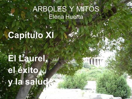 ARBOLES Y MITOS Elena Huerta Capítulo XI El Laurel, el éxito y la salud.