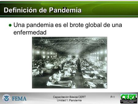 Influenza Pandémica Capacitación Básica CERT Peligros.
