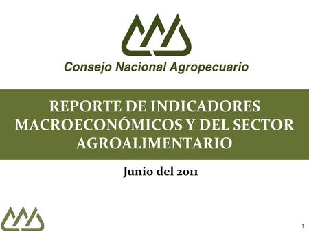1 REPORTE DE INDICADORES MACROECONÓMICOS Y DEL SECTOR AGROALIMENTARIO Junio del 2011.