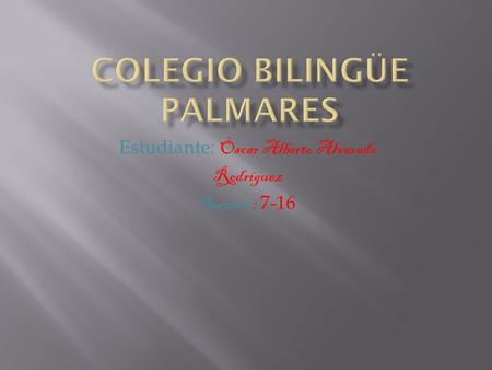 Colegio bilingüe palmares
