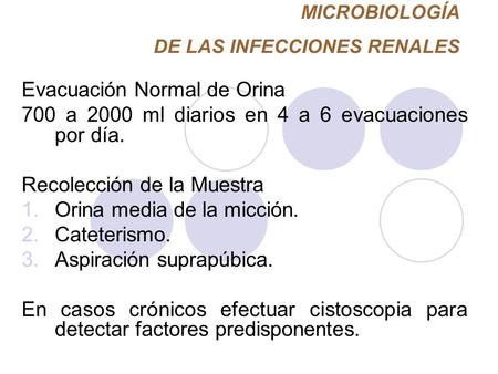 MICROBIOLOGÍA DE LAS INFECCIONES RENALES