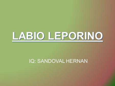 LABIO LEPORINO IQ: SANDOVAL HERNAN.