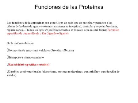 Funciones de las Proteínas