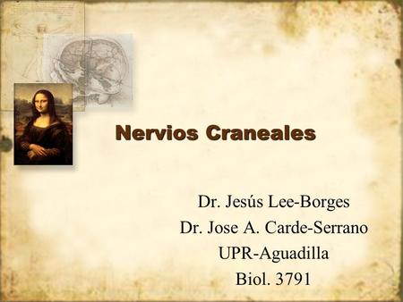 Dr. Jose A. Carde-Serrano