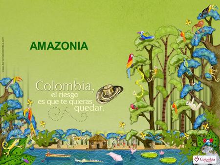 AMAZONIA.